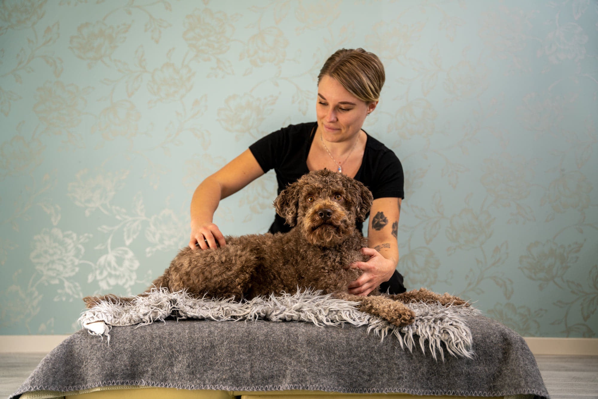 Hundmassage i friskvårdssyfte