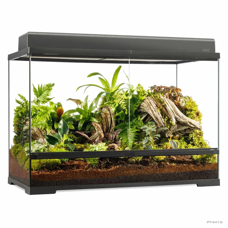 Terrarium Exoterra L Høj - 90X45X60 CM