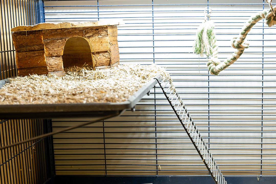 HOTELL FÖR RÅTTA & CHINCHILLA / DYGN | Endast 119 kr! - Zoogiganten