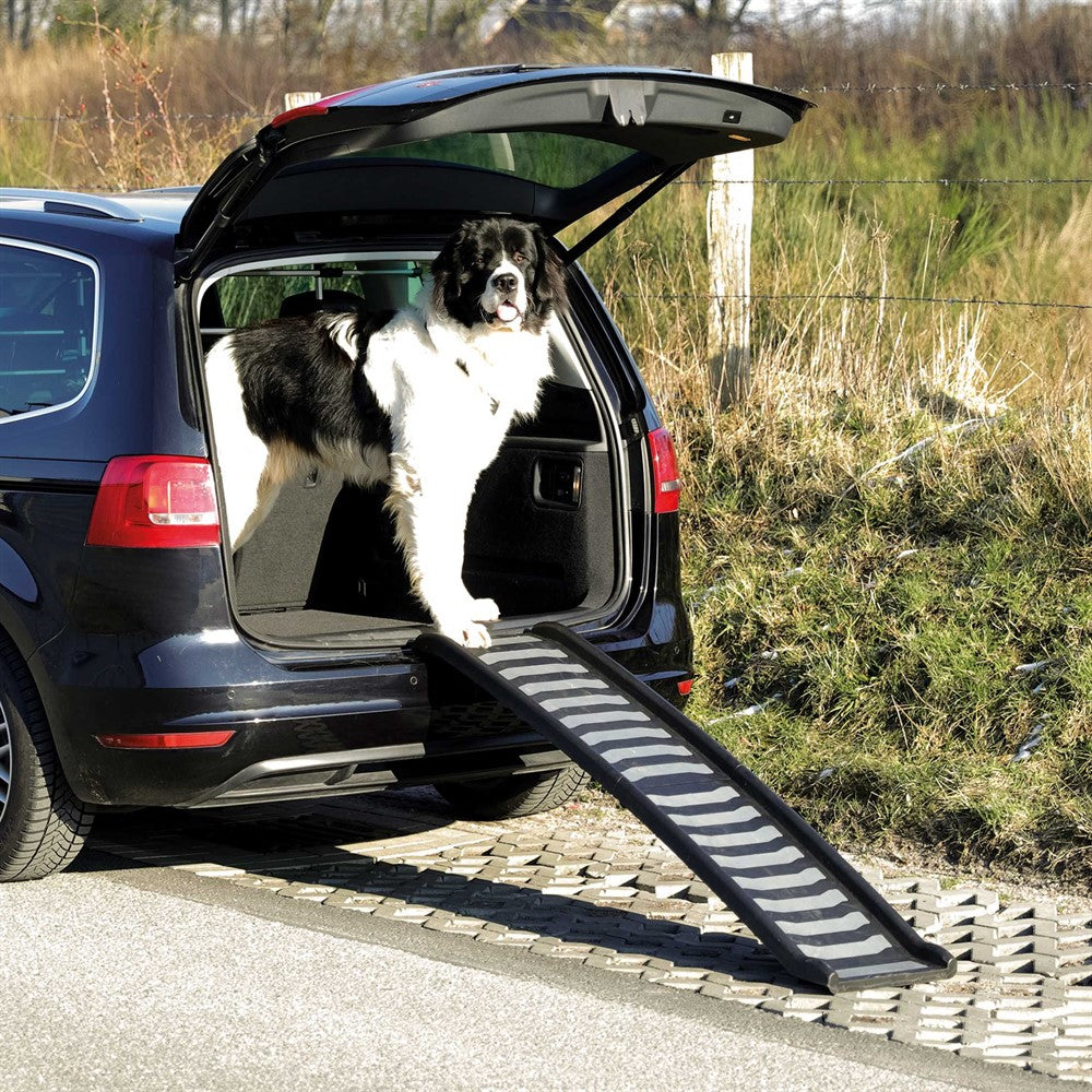 Rampe Petwalk, sammenklappelig, 39 × 160 cm, plast, sort, op til 70 kg