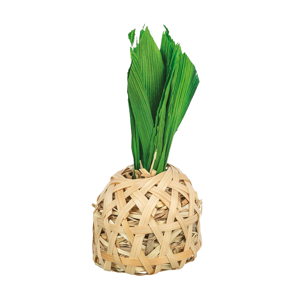 Trixie Ananas i bambu med majsblad och hö - 6,5 × 14 CM