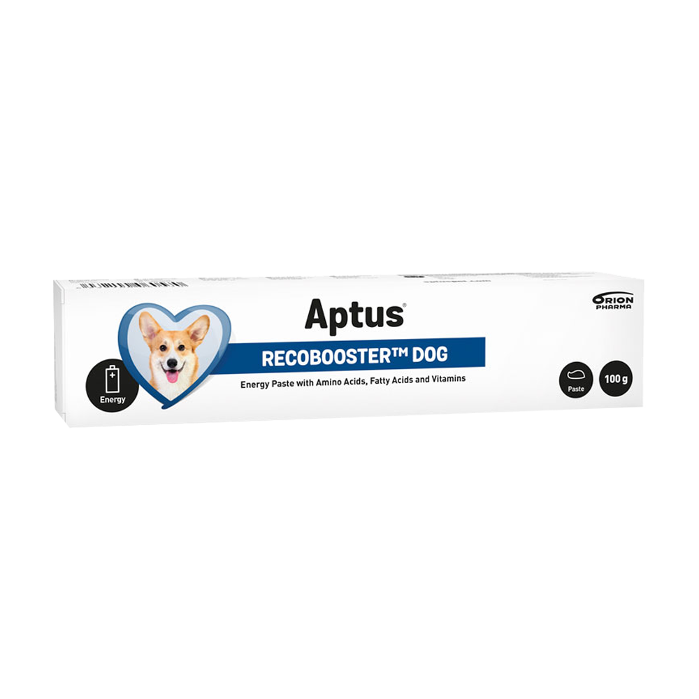 Aptus Recovery Booster Hund - 100 G