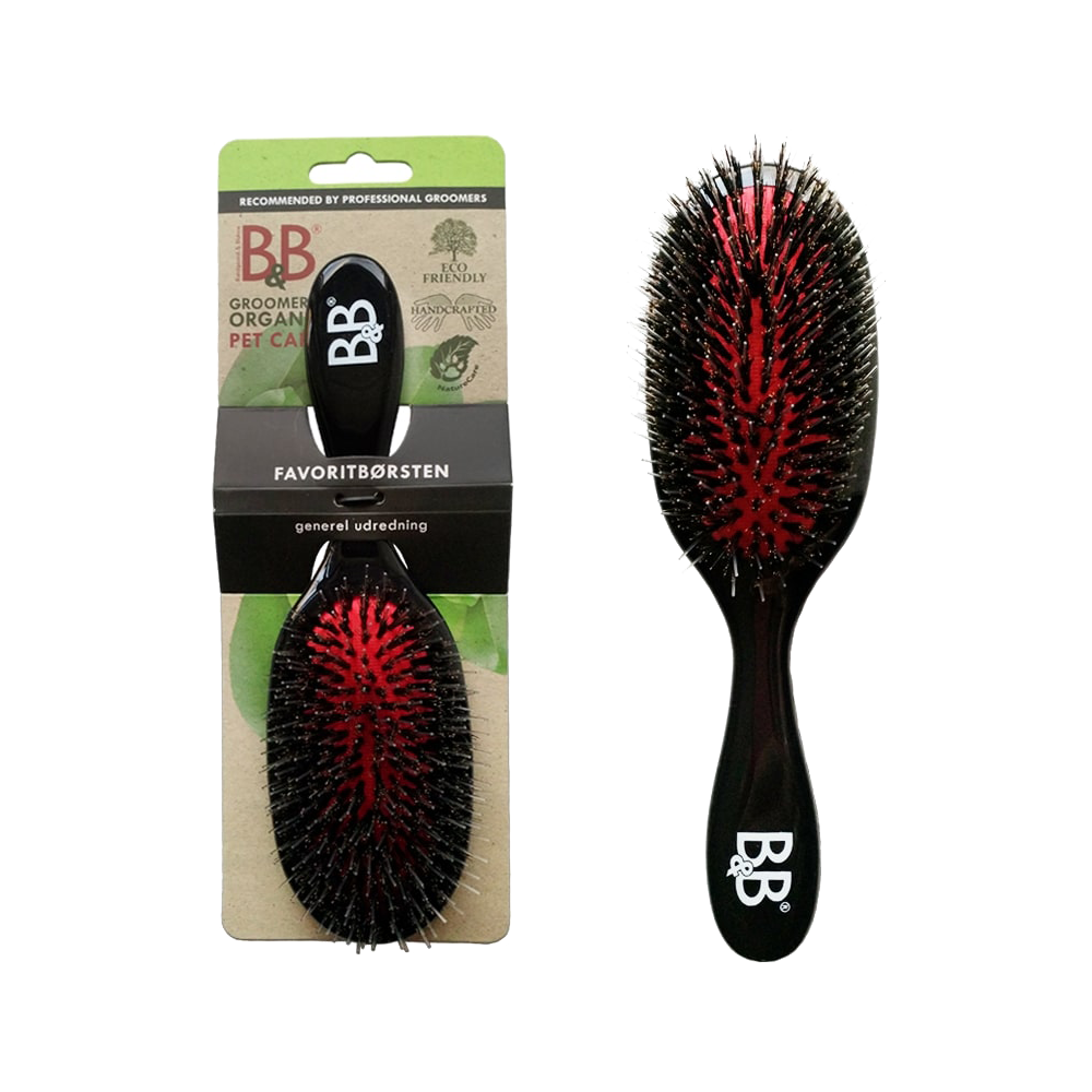 B&B Favoritbørste
