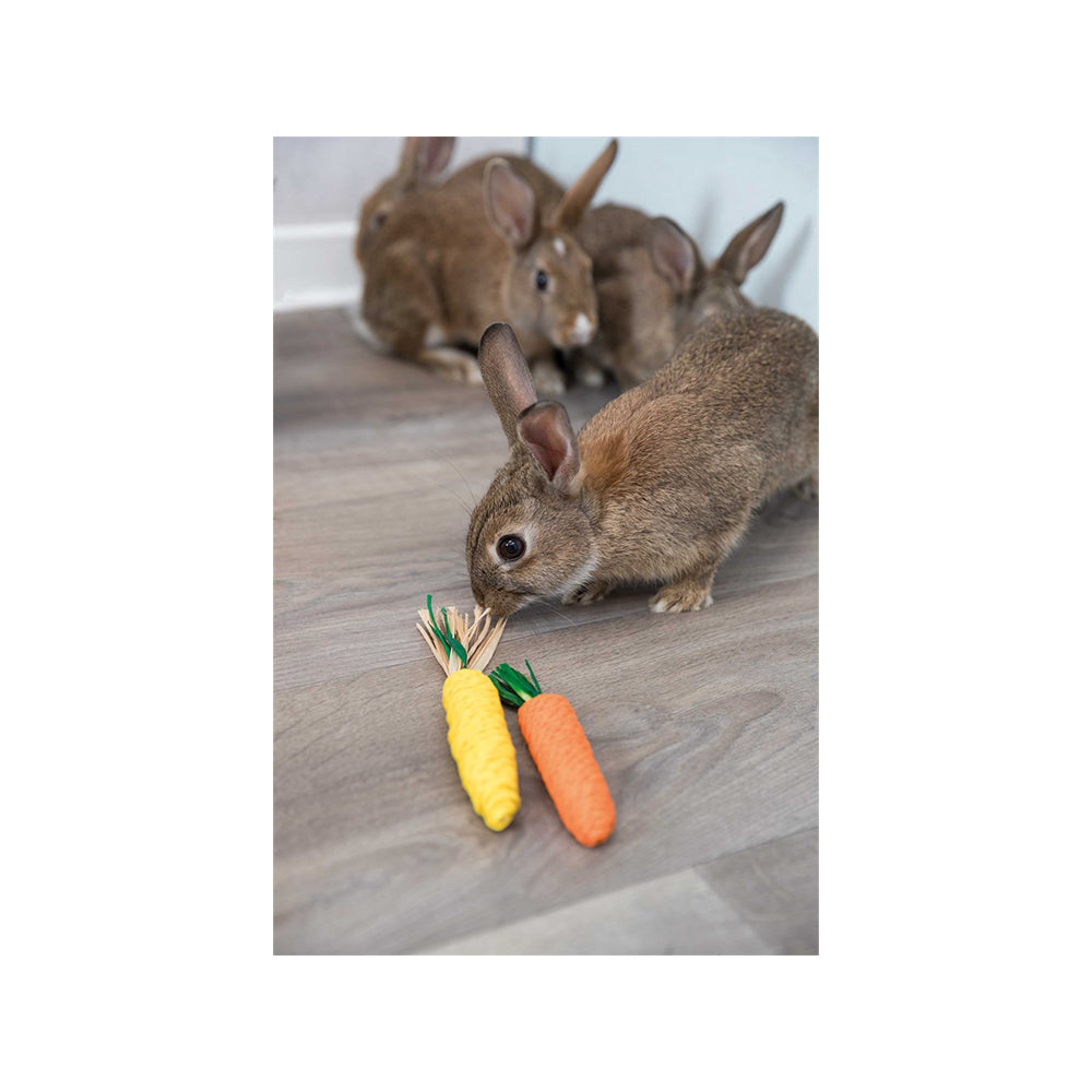 Halmleksak - Morötter 2-pack | Endast 39 kr! - Zoogiganten