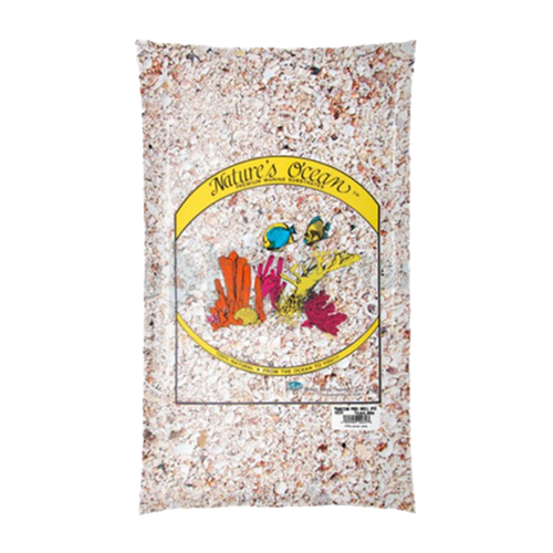 Hawaiian Puka Shells - 6.8 KG | Endast 649 kr! - Zoogiganten