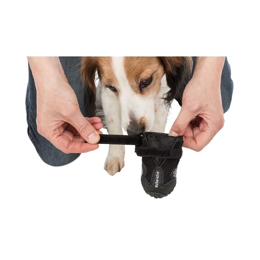 Hundesko Walker Active 2-pak Sort