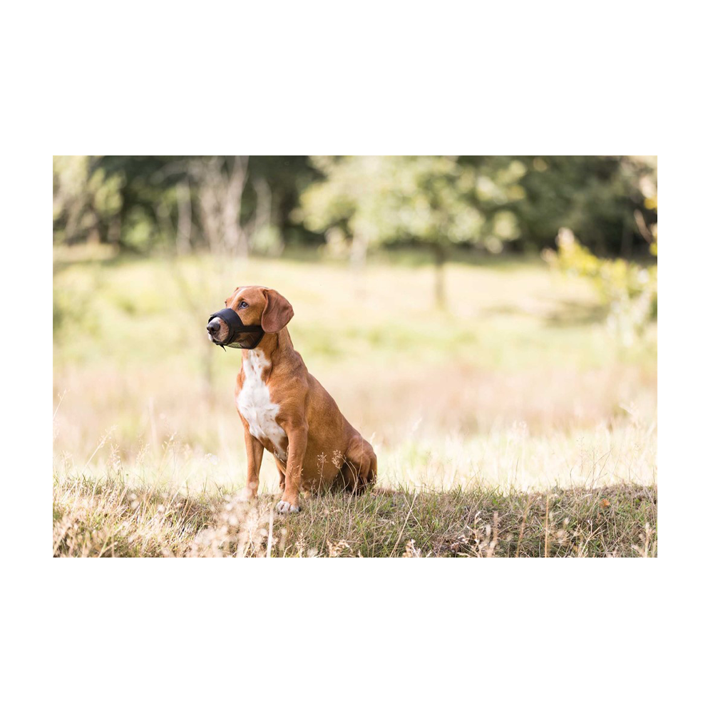 Nylonmunding med net