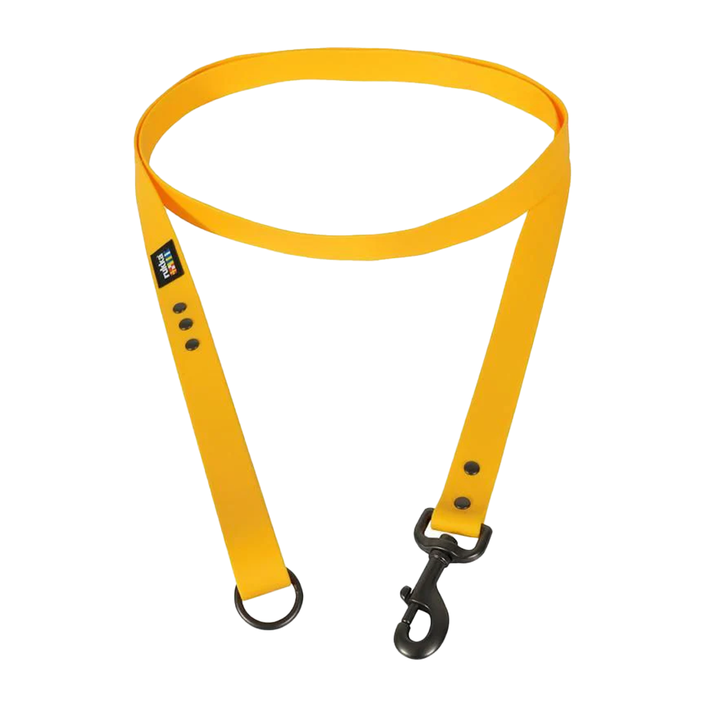 Biodipro Leash Abrikos