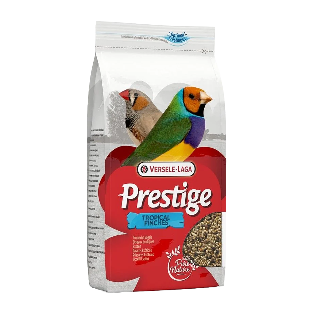 Prestigefyldt tropisk stand-up