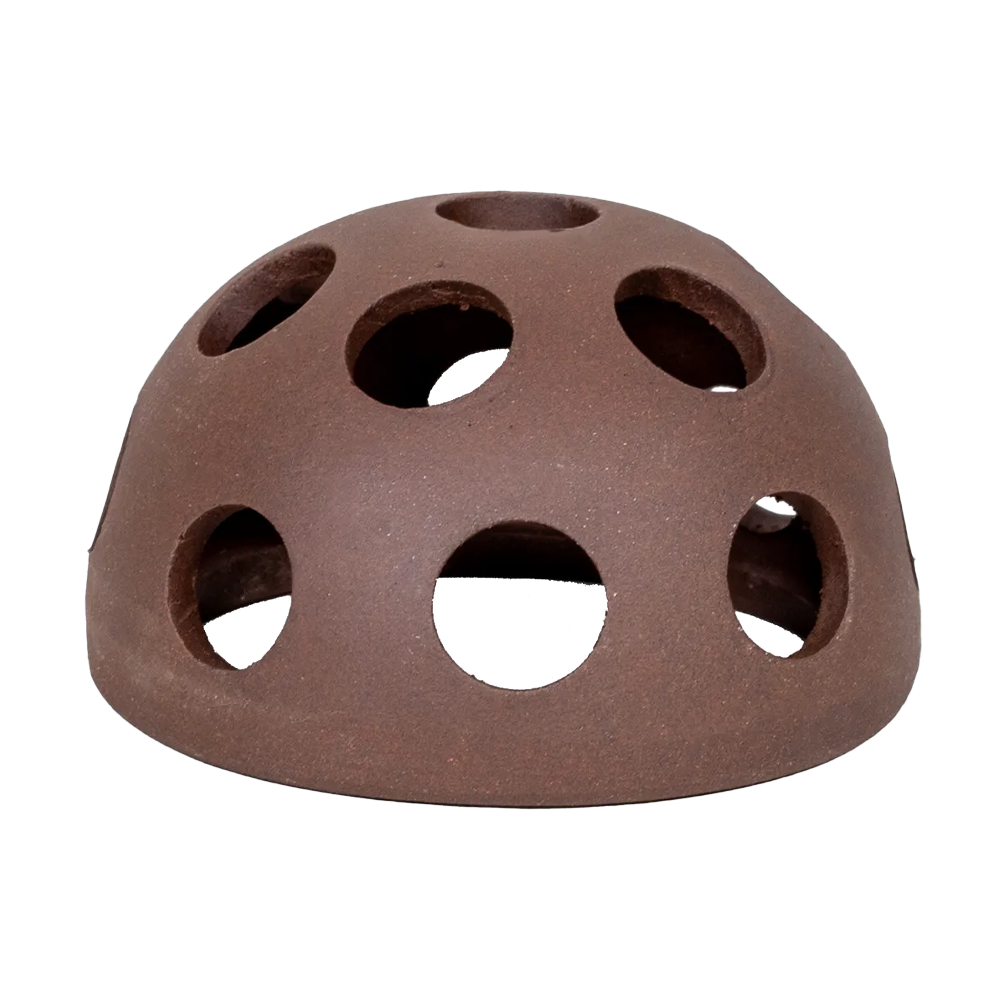 Räkgrotta Kupol - 5.8X3.7 CM | Endast 49 kr! - Zoogiganten