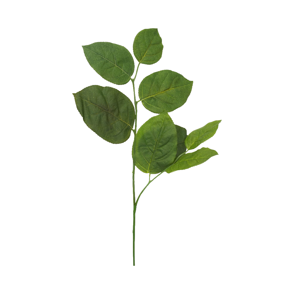 Salak kviste til stok - 1 stk.