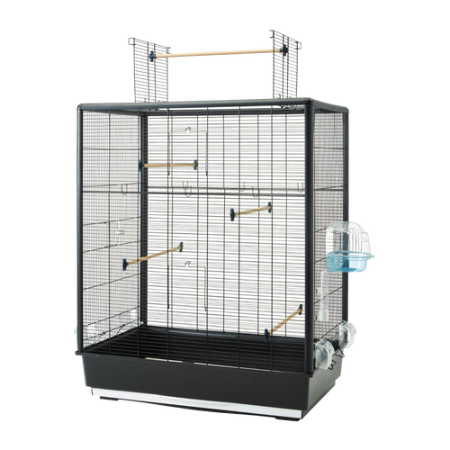 Birdcage Primo 60 Åben Empire Knock Down - Sort