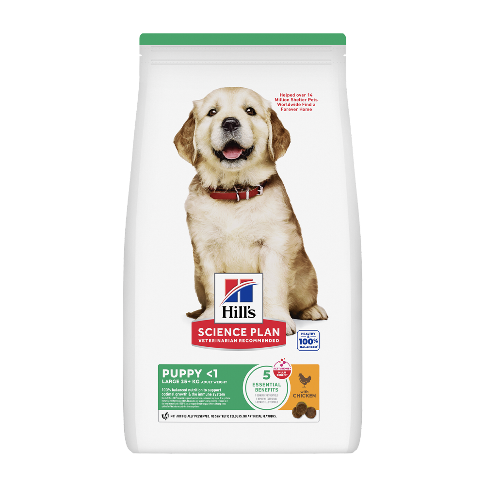 Science Plan Puppy Large Breed Kylling - 12 KG