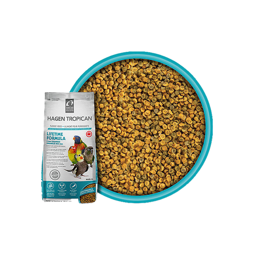 Tropican Underhåll Parakit - 820 G | Endast 159 kr! - Zoogiganten