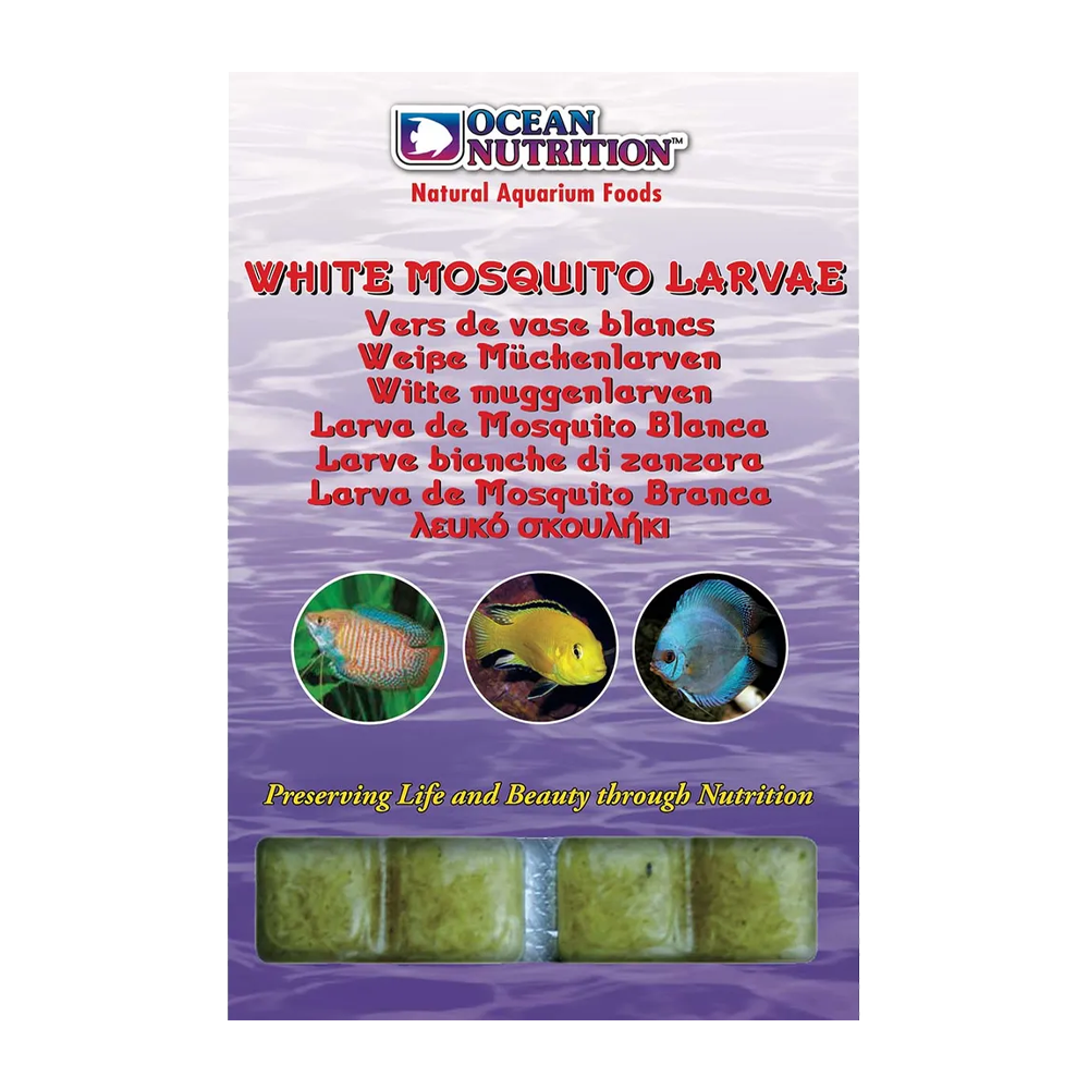 White mosquito Larv 20 kuber - 100 G | Endast 49 kr! - Zoogiganten