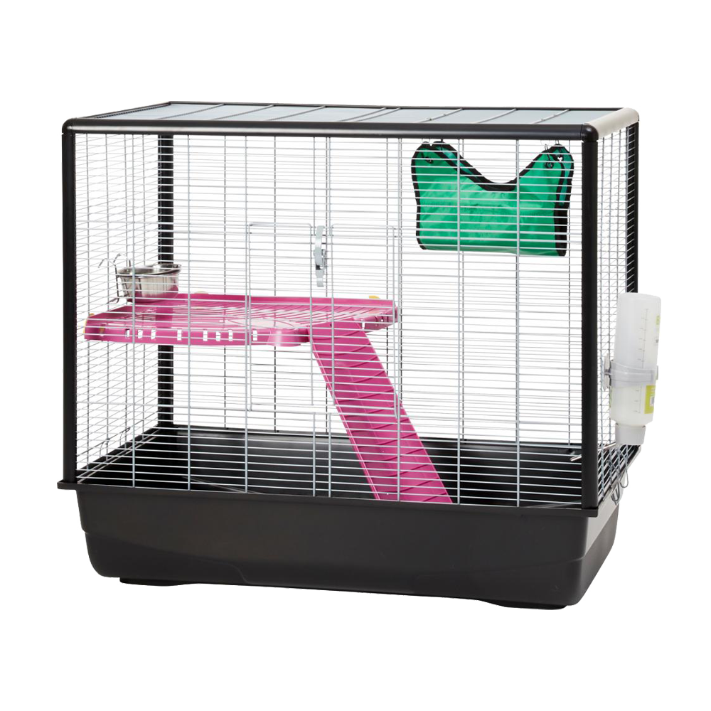 Gnagarbud Zeno 2 Knock Down