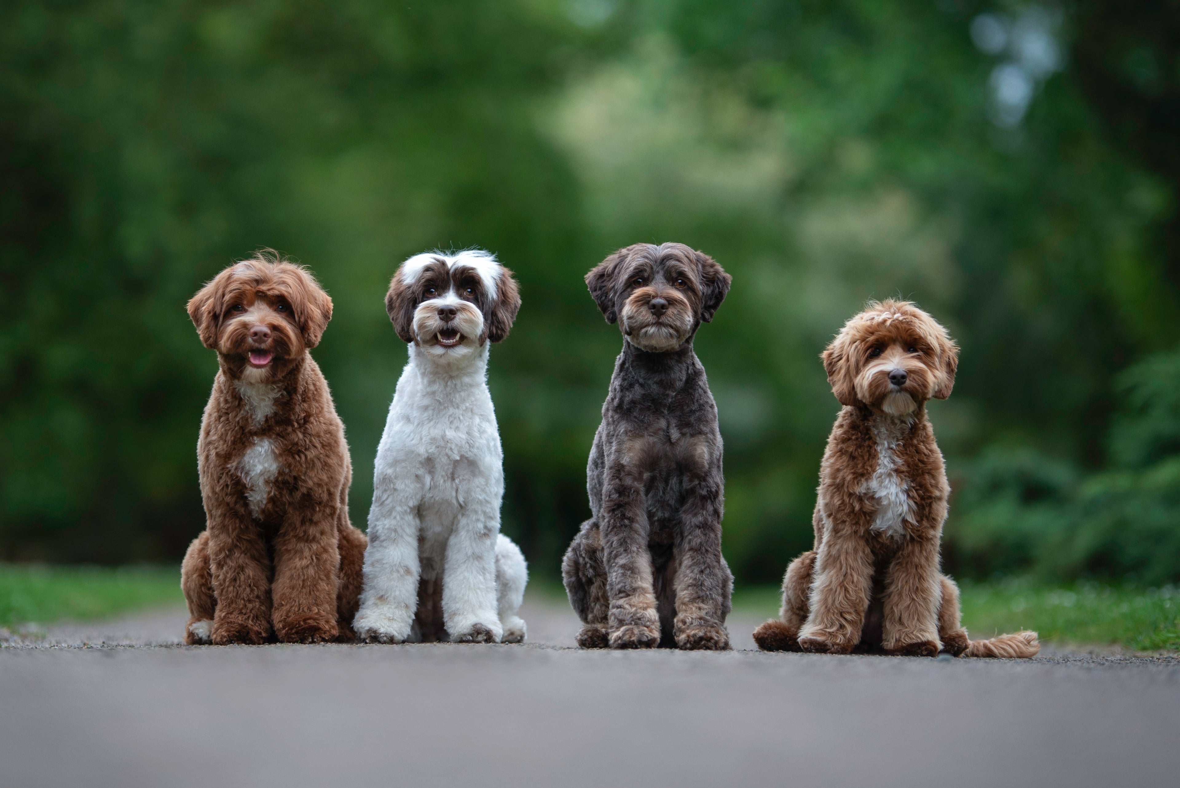 Gravyrbricka 2-sidig