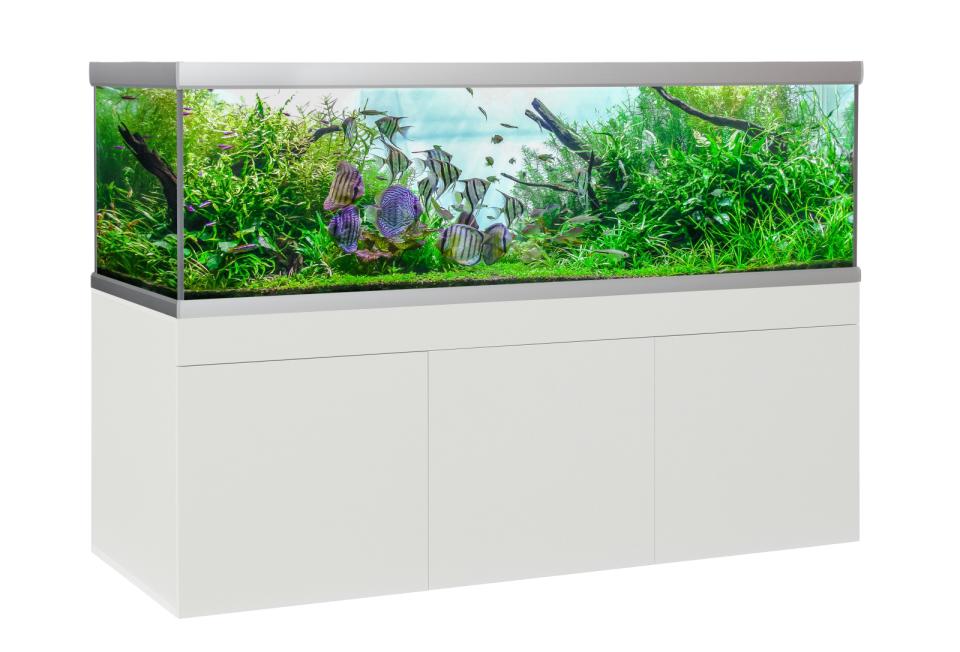Akvastabil Fusion Akvarium - 900 L