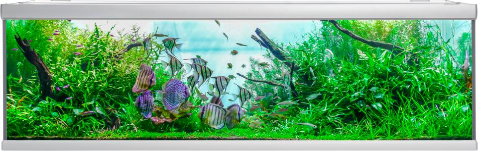 Akvarie Aquastabil Fusion - 900 L