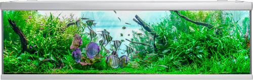Akvarie Aquastabil Fusion - 900 L