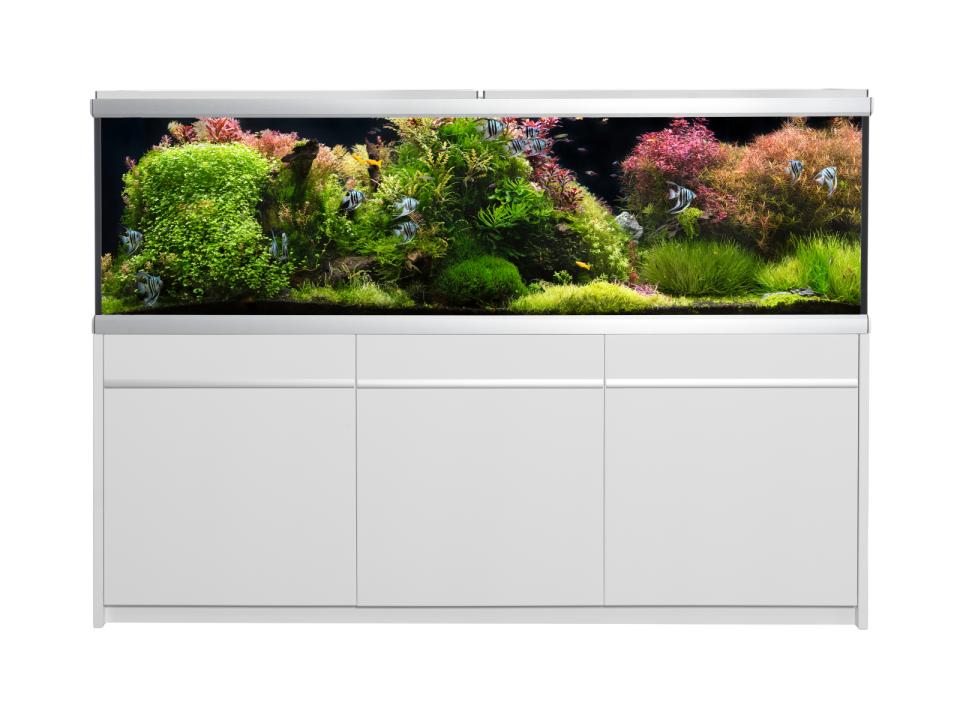 Akvastabil Move Akvarie Hvid - 720 L