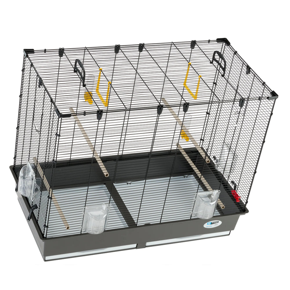 Fugleburklaver 6 sort
