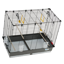 Fågelbur Piano 6 Svart