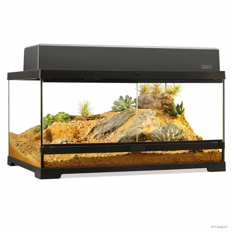 Terrarium Exoterra M Lav - 60X40X30 CM