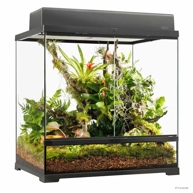 Terrarium Exoterra M Høj - 60X45X60 CM