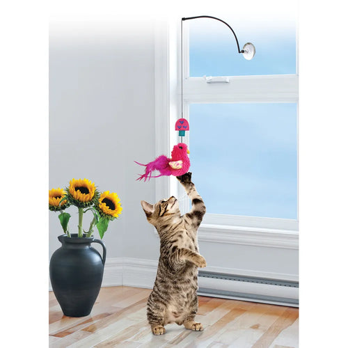 Kong Cat Connects Vinduesvisker Mix - 30 cm
