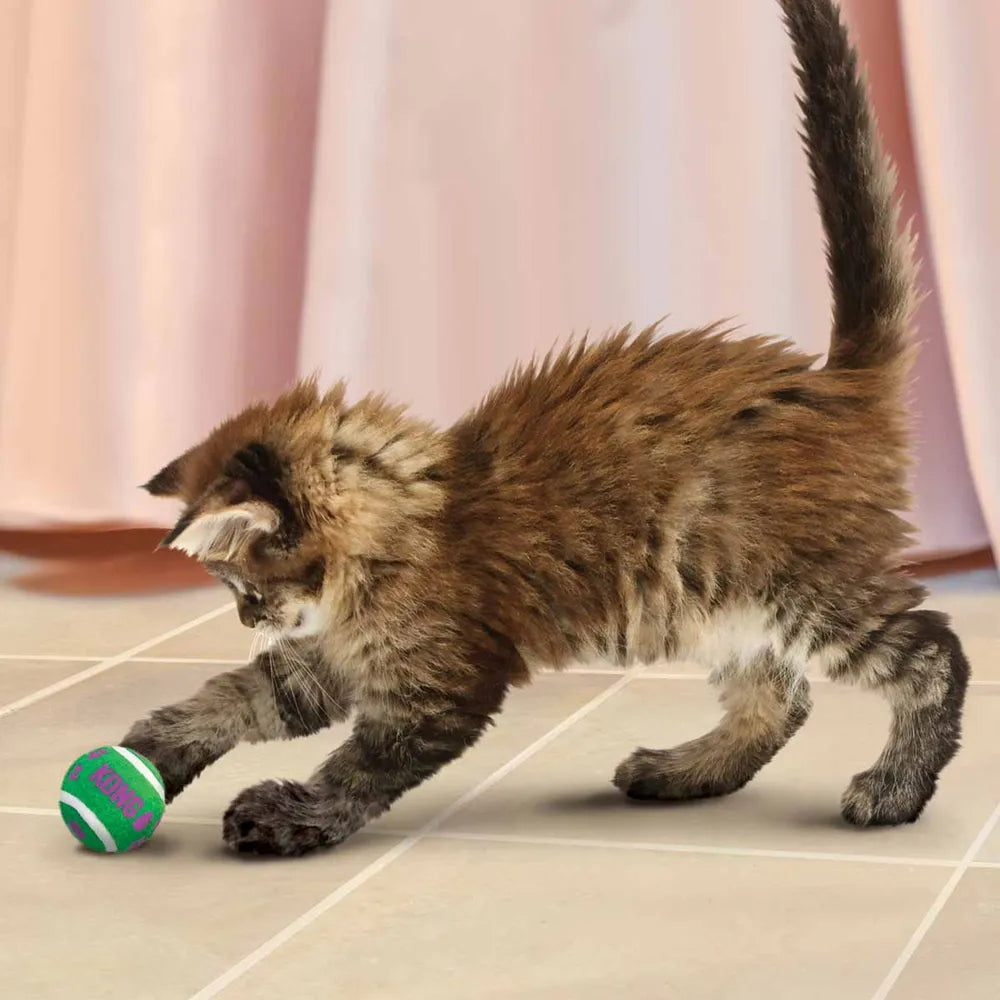 Kong Cat Active Tennisbold m/klokker - 4 cm