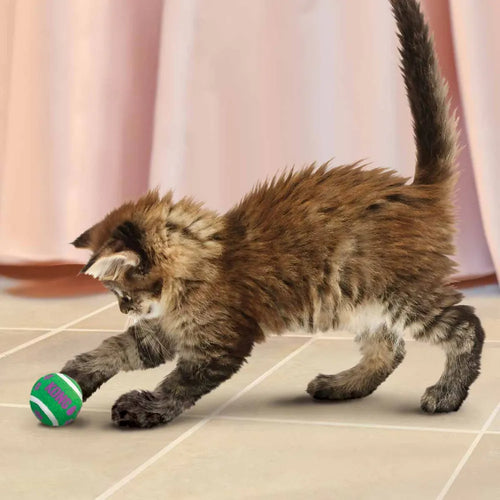 Kong Cat Active Tennisbold m/klokker - 4 cm