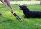 Hundekometer Stjernekaster Orange
