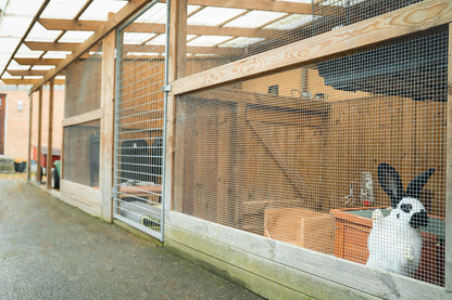 HOTEL - UDENDØRS LEGEPLADS TIL KANINER OG MARSVIN / DAG