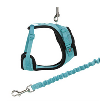 Y-Sele för Katter - 100 CM | Endast 259 kr! - Zoogiganten