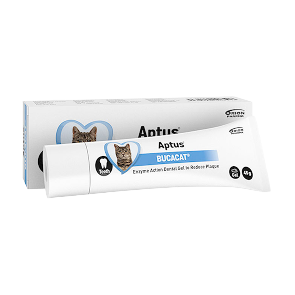 Aptus Bucacat tandgelé - 45 G