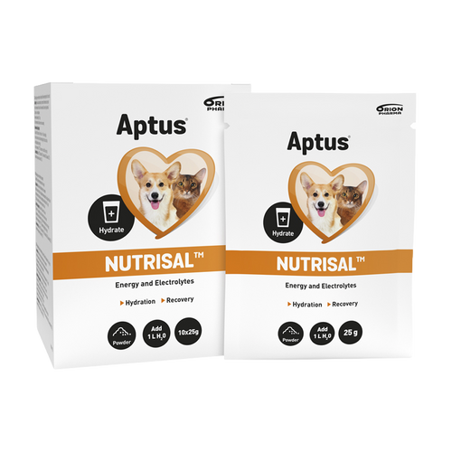 Aptus Nutrisal - 10X25 G