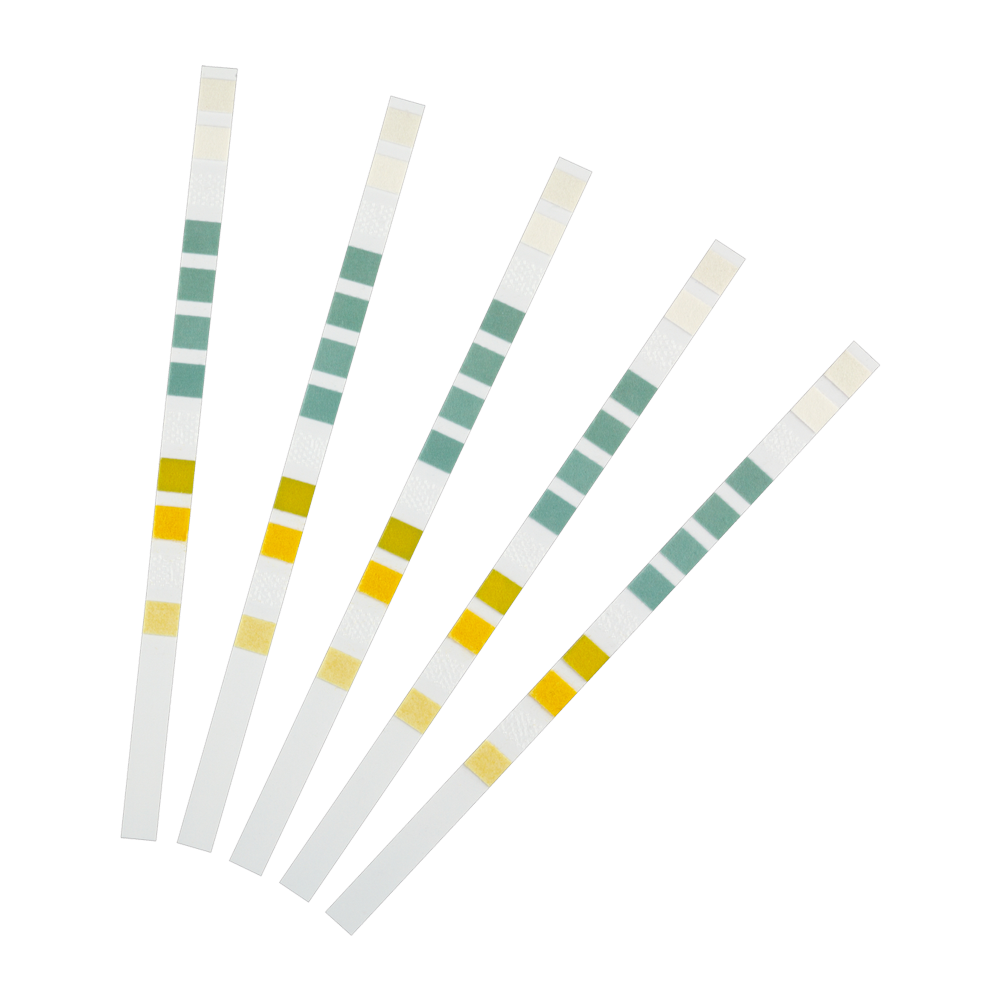 AquaActiv Quicksticks 6in1 | Endast 319 kr! - Zoogiganten