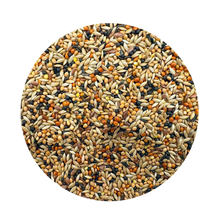 Kanarieblandning - 25 KG