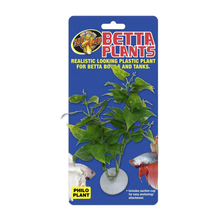 Zoo Med Betta Plant Philo | Endast 59 kr! - Zoogiganten