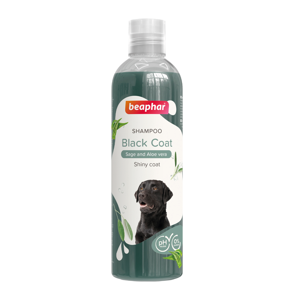 Shampoo Sort - 250 ml