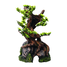 Bonsaiträd Akvarie - 19 CM | Endast 399 kr! - Zoogiganten