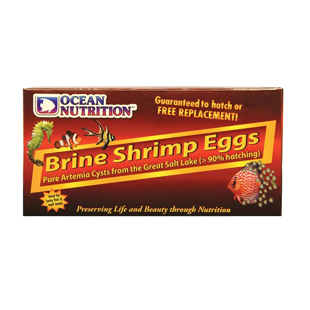 Artemia Brine Shrimp Ägg - 20 G | Endast 189 kr! - Zoogiganten