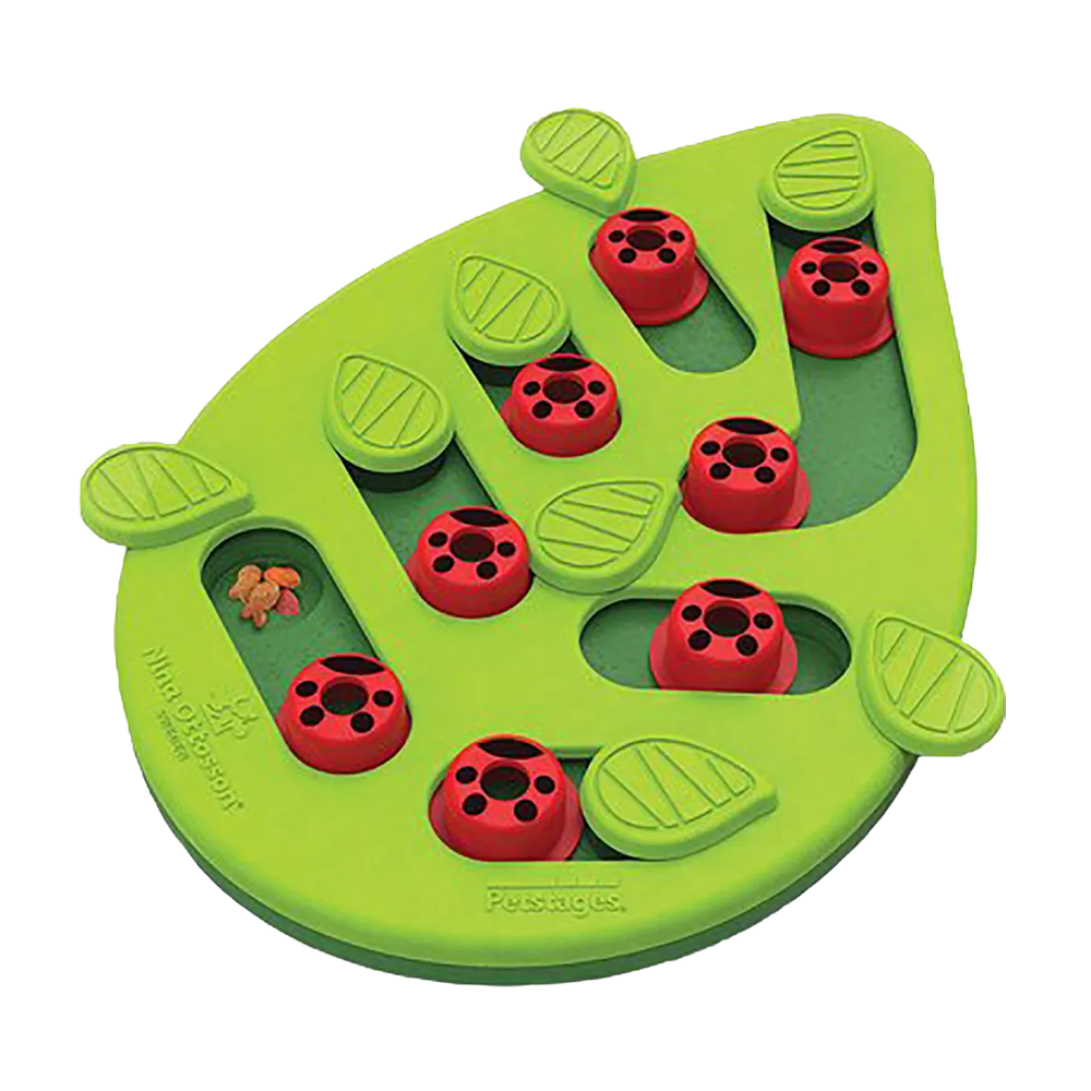 Petstages Kattepuslespil &amp; Leg Buggin Out
