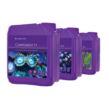 Component 1+2+3+ 3X 5L