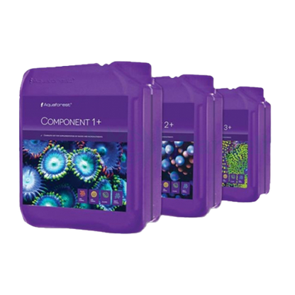 Component 1+2+3+ 3X 5L