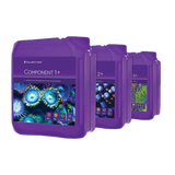 Komponent 1+2+3+ 3X 5L