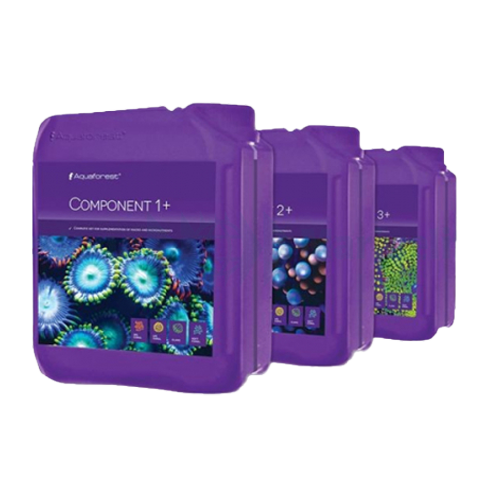 Component 1+2+3+ 3X 5L