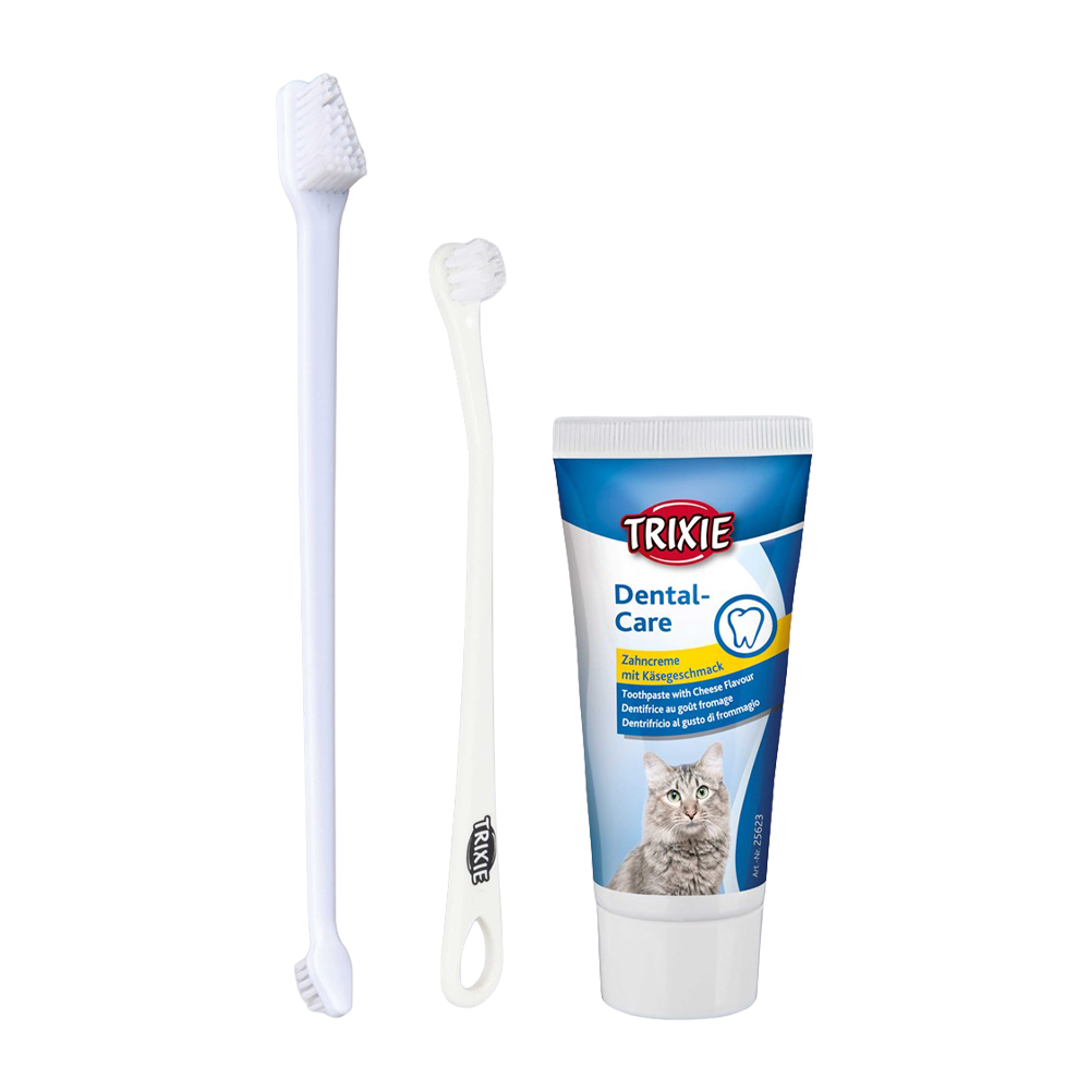 Tandplejesæt Kat M Tandpasta 2 Tandbørster
