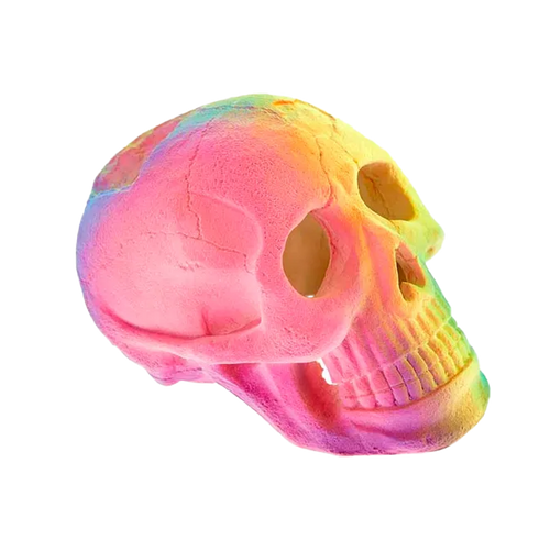 Dödskalle Självlysande - 6X9.1X6.5 CM | Endast 139 kr! - Zoogiganten